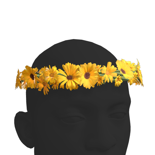 Flower Crown