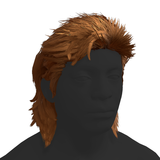 Mullet Hair