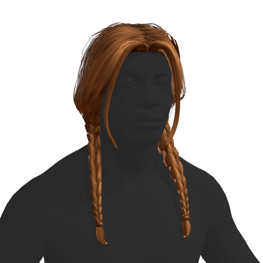 Braided Hair
