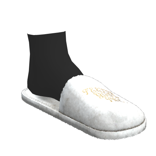 Spa Slippers