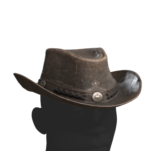 Cowboy Hat