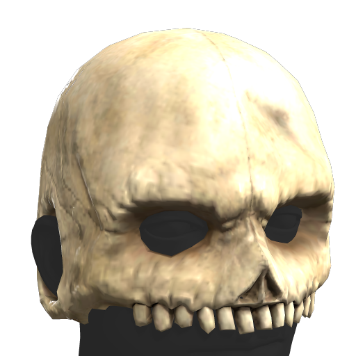 Skull Helmet