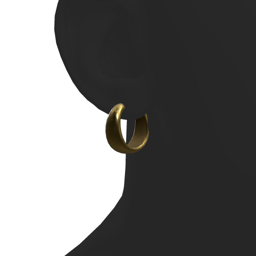 Gold Earrings